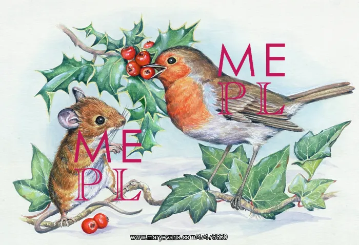 : Woodmouse and robin with holly & ivy in snow : Woodmouse and robin with holly & ivy in snow