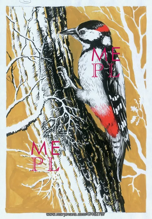 : Woodpecker Perching on a Tree : Woodpecker Perching on a Tree