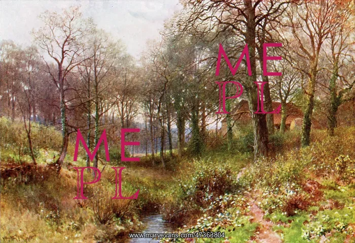 : WOODS NEAR HASLEMERE : WOODS NEAR HASLEMERE