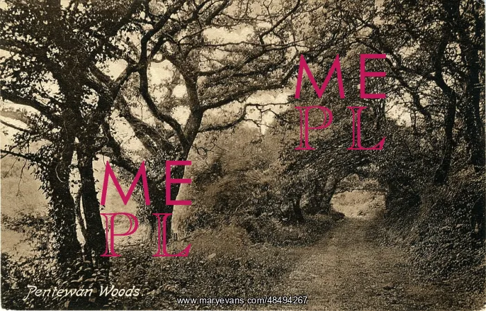  : The Woods, Pentewan, Cornwall