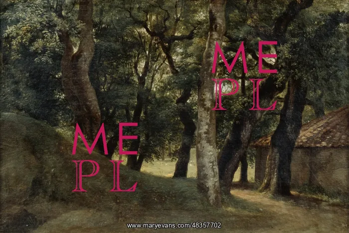 : Woods of the Villa Borghese, Rome'. Pierre de : Woods of the Villa Borghese, Rome'. Pierre de