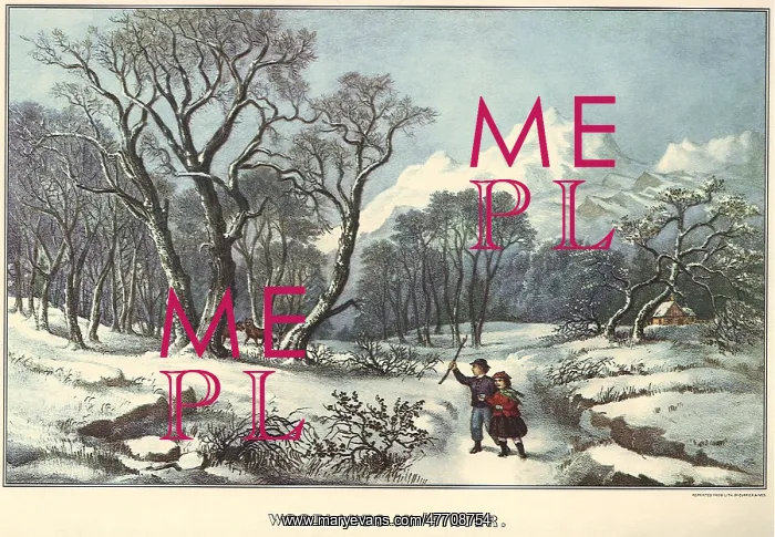  : Woods in Winter