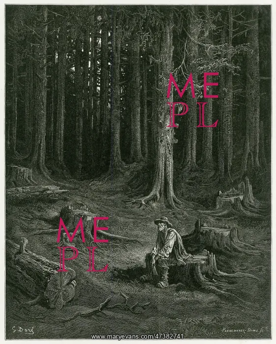 : The Woods - the Woodman : The Woods - the Woodman