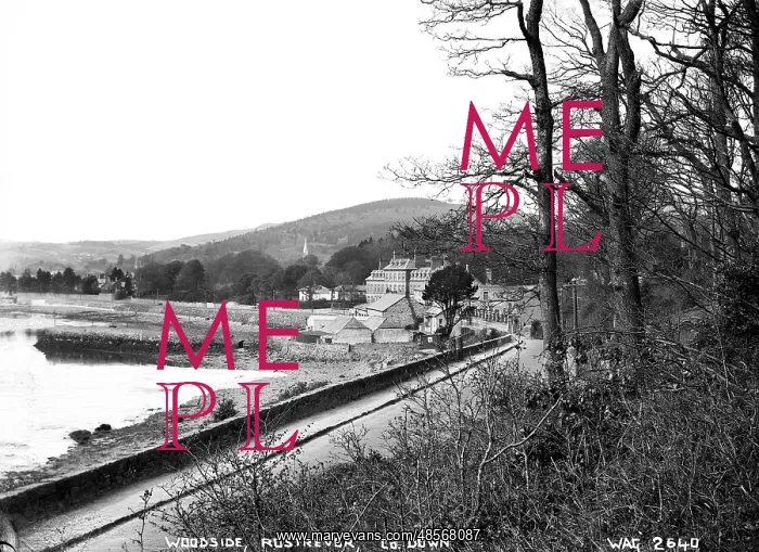 : Woodside, Rostrevor, Co. Down : Woodside, Rostrevor, Co. Down