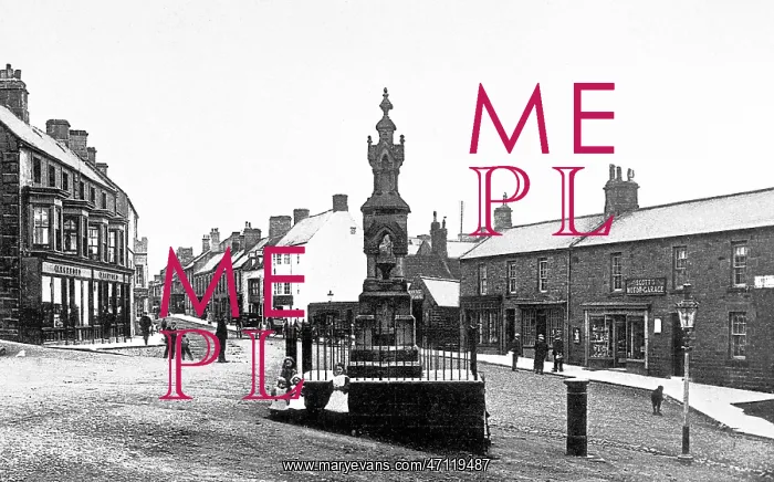  : Wooler Main Street early 1900s