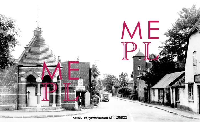  : Woolhampton, Station Road c1965