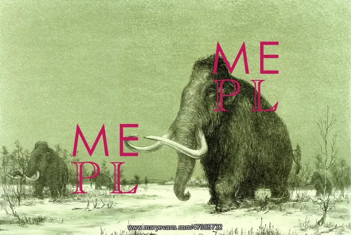 : Woolly Mammoth : Woolly Mammoth
