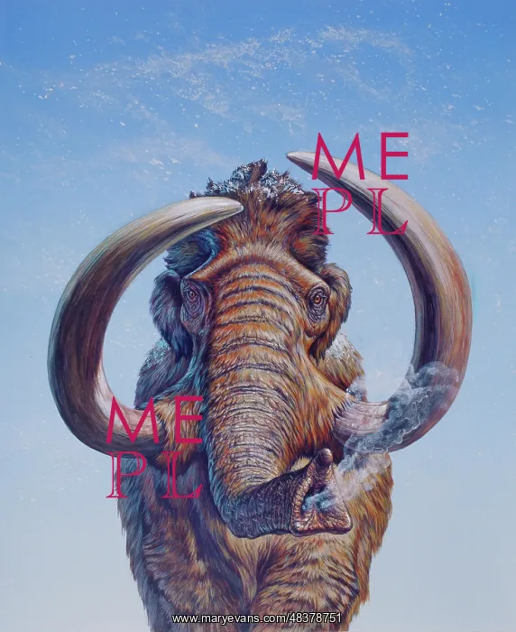 : Woolly Mammoth charging, Pleistocene Epoch : Woolly Mammoth charging, Pleistocene Epoch