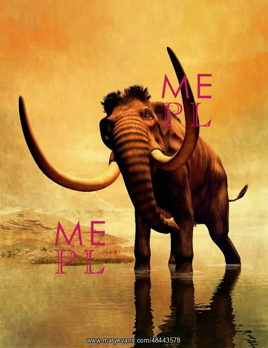 : A woolly mammoth in a dramatic frozen sunset : A woolly mammoth in a dramatic frozen sunset