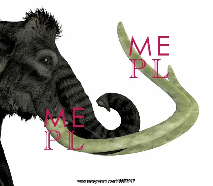 : Woolly mammoth headshot : Woolly mammoth headshot