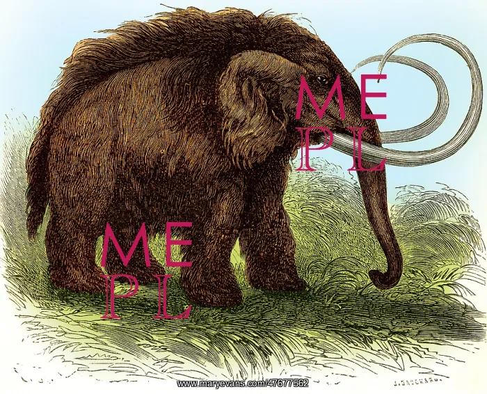 : Woolly Mammoth, Illustration : Woolly Mammoth, Illustration