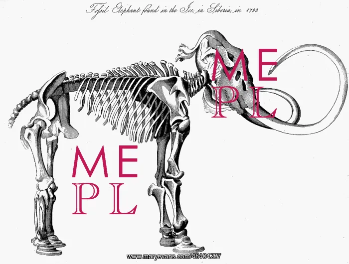: Woolly Mammoth (Mammuthis) skeleton, approximately : Woolly Mammoth (Mammuthis) skeleton, approximately