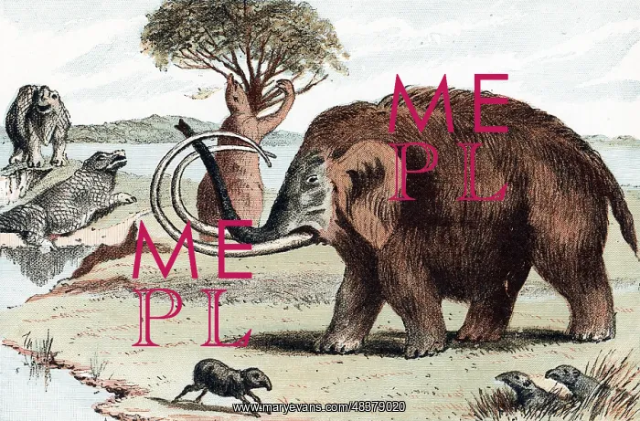 : Woolly Mammoth (Mammuthus) extinct genus of elephant : Woolly Mammoth (Mammuthus) extinct genus of elephant