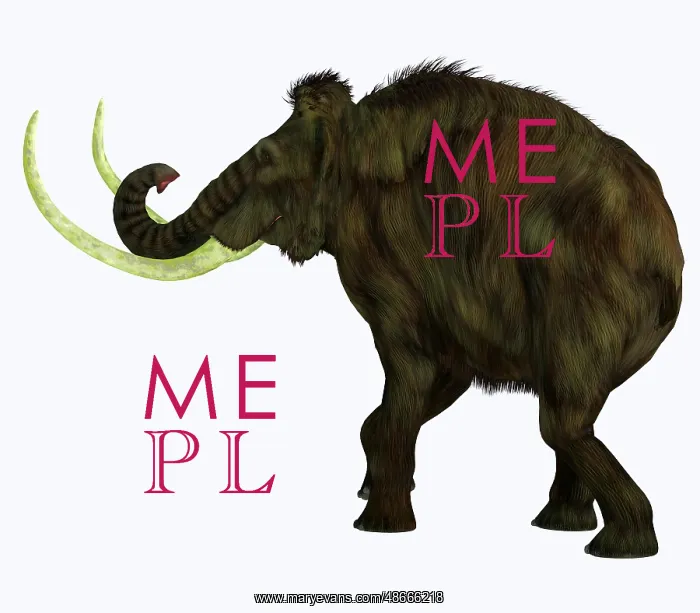 : Woolly mammoth, side profile on white background : Woolly mammoth, side profile on white background