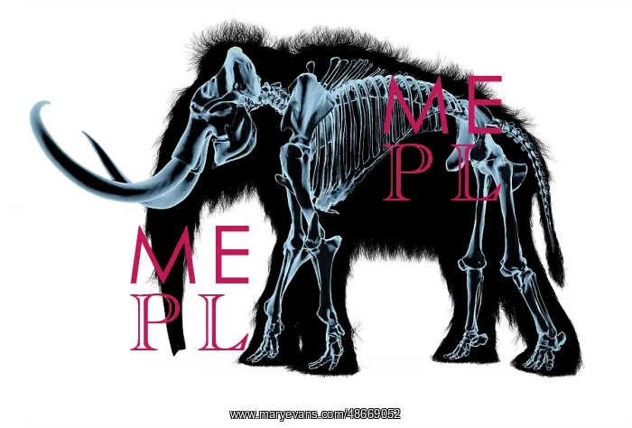  : Woolly mammoth skeleton, x-ray effect on white background