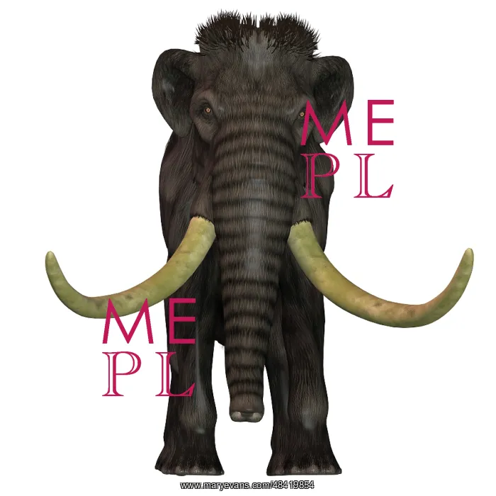 : Woolly Mammoth, front view : Woolly Mammoth, front view