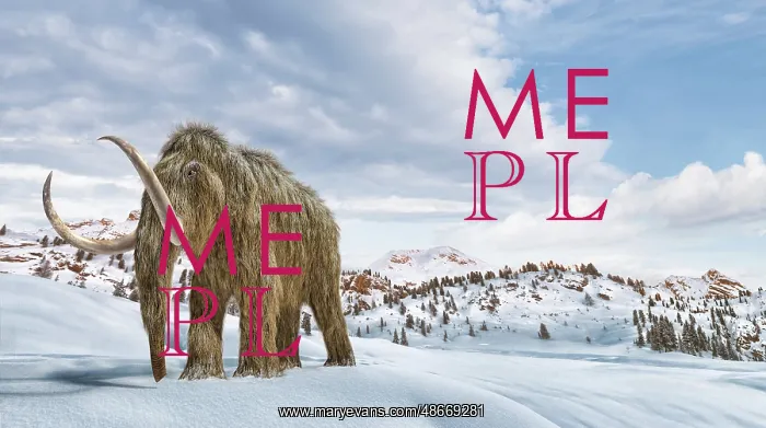 : Woolly mammoth in a winter scene environment : Woolly mammoth in a winter scene environment