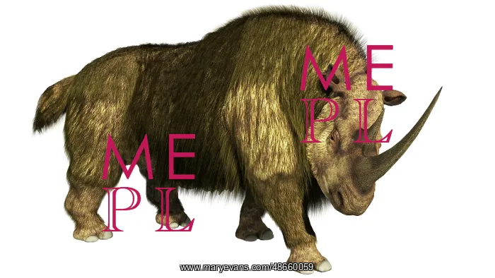 : Woolly rhino on a white background stepping forward : Woolly rhino on a white background stepping forward