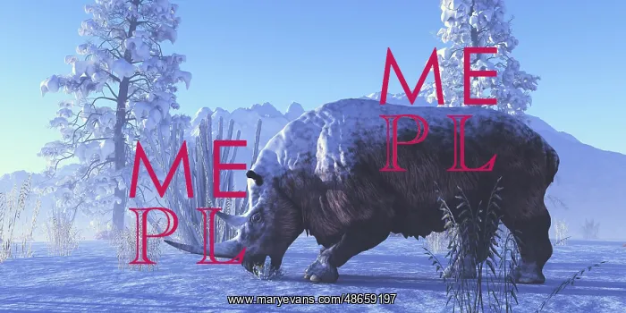 : A woolly rhinoceros eats a plant during a winter : A woolly rhinoceros eats a plant during a winter