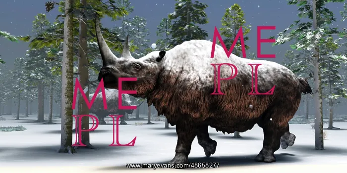 : Two woolly rhinoceros hang out together during : Two woolly rhinoceros hang out together during