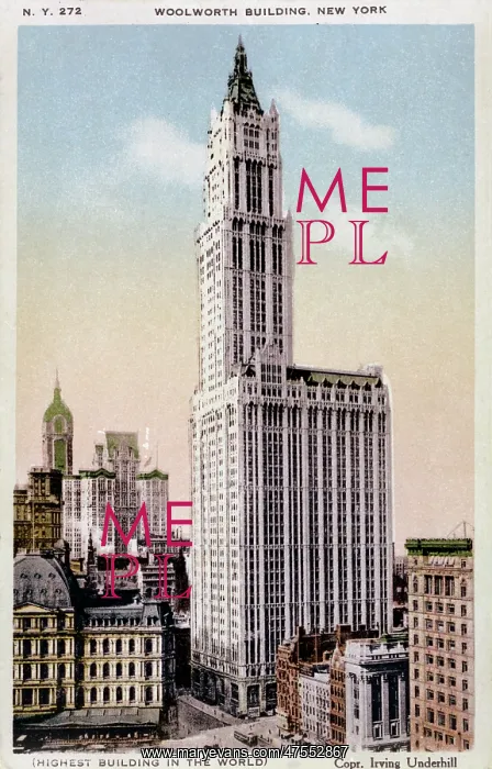 : The Woolworth Building, New York : The Woolworth Building, New York