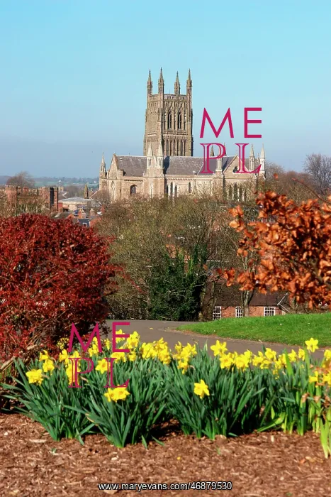 : Worcester Cathedral, Worcestershire : Worcester Cathedral, Worcestershire