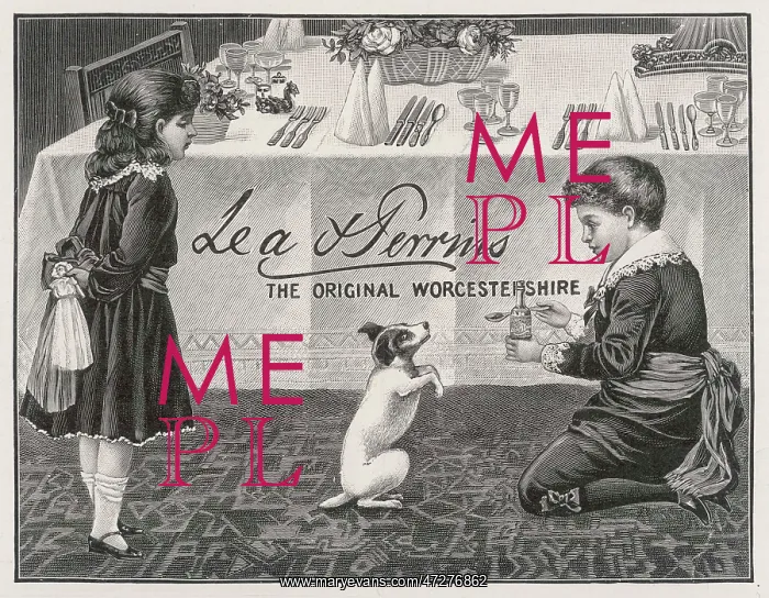 : WORCESTER SAUCE ADVERT : WORCESTER SAUCE ADVERT
