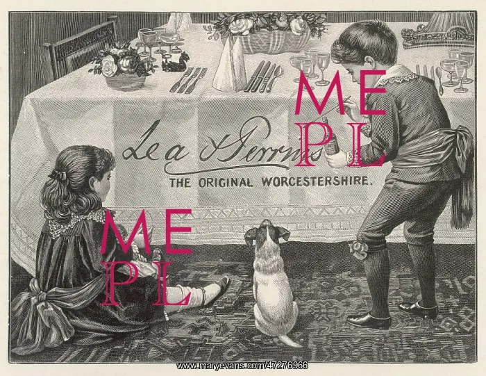 : WORCESTER SAUCE ADVERT : WORCESTER SAUCE ADVERT