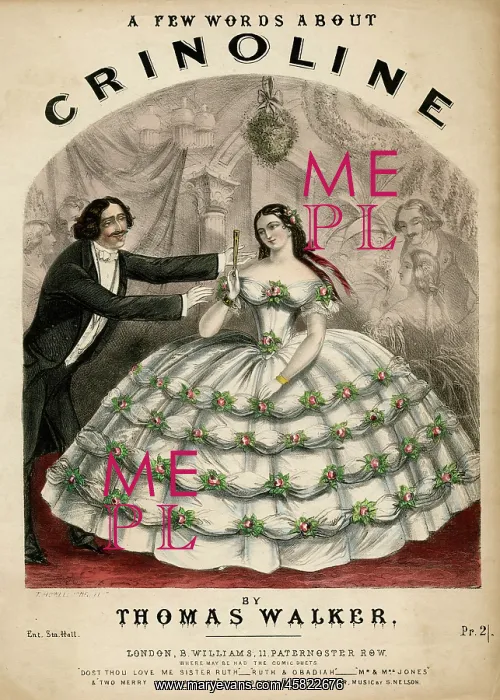 : Words About Crinoline : Words About Crinoline