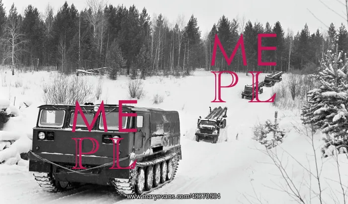 : Work in Taiga : Work in Taiga