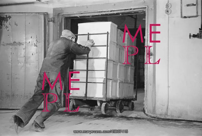 : Worker pushes a heavy cart of packed eggs ? : Worker pushes a heavy cart of packed eggs ?