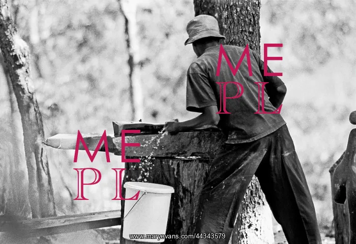 : Worker washes sculpture : Worker washes sculpture