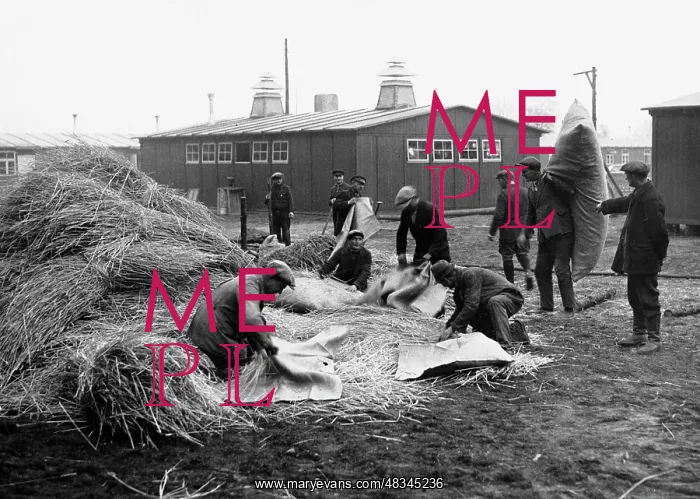 : Workers fill bags with straw, 1935 : Workers fill bags with straw, 1935