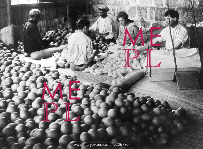 : Workers in a kibbutz, 1923 : Workers in a kibbutz, 1923