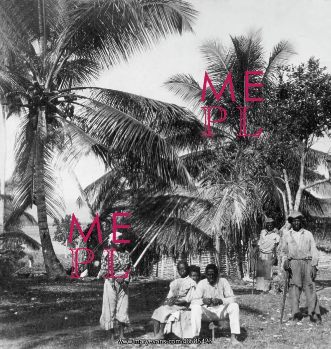 : Workers in a palm grove, Jamaica : Workers in a palm grove, Jamaica