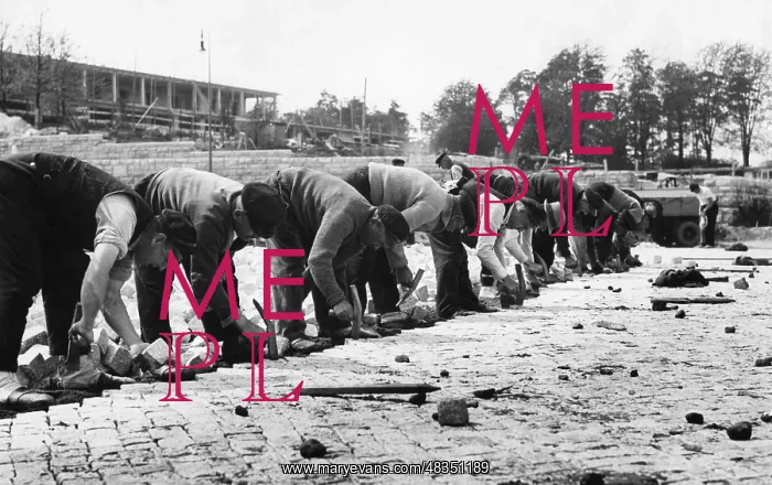: Workers paving road, 1936 : Workers paving road, 1936