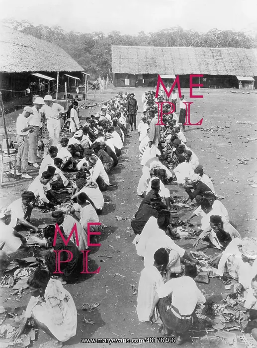 : Workers on a rubber plantation, 1937 : Workers on a rubber plantation, 1937