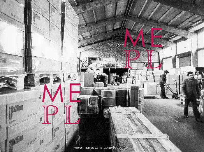 : Workers in wholesale warehouse : Workers in wholesale warehouse