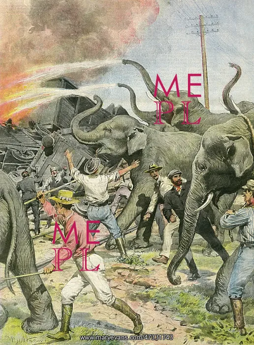 : WORKING ELEPHANTS 1907 : WORKING ELEPHANTS 1907