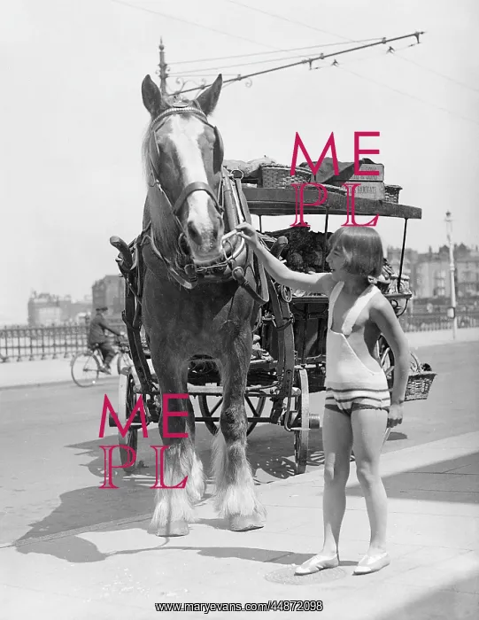 : WORKING HORSE LUNCH : WORKING HORSE LUNCH