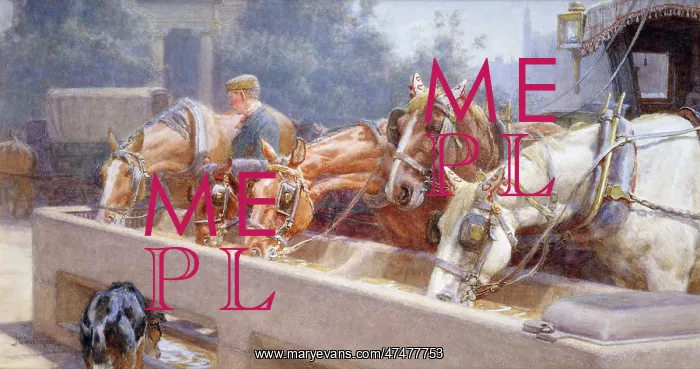 : Working Horses at Drinking Trough : Working Horses at Drinking Trough