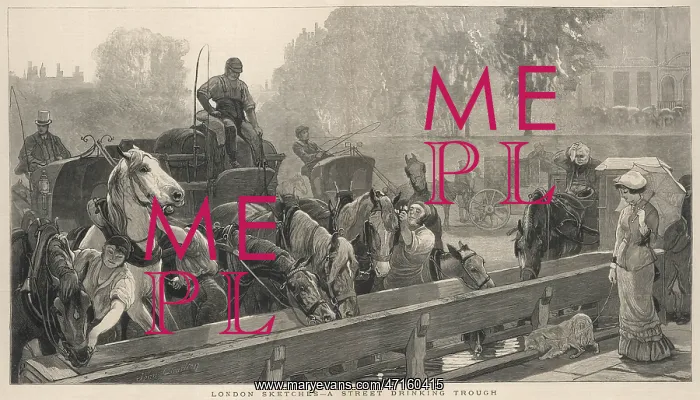: Working horses drinking at a trough, London : Working horses drinking at a trough, London