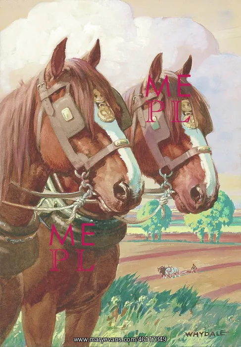 : Working horses (pulling a plough) : Working horses (pulling a plough)