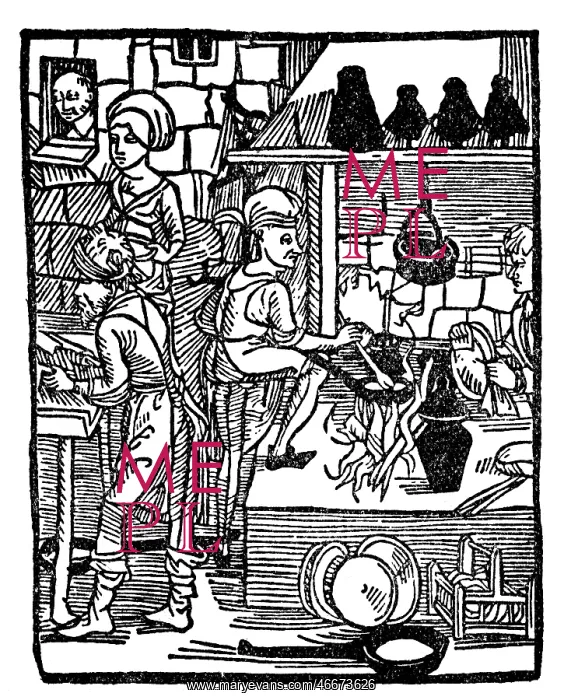 : Working in the kitchen : Working in the kitchen