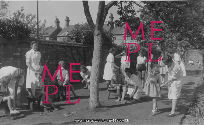  : Working on patients in garden