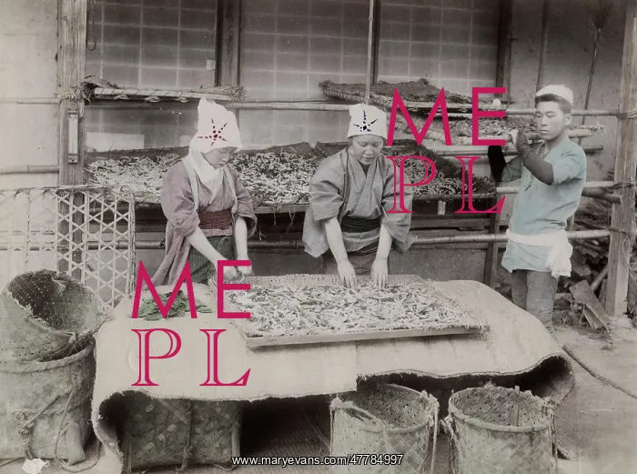: Working with silk worms, Japan : Working with silk worms, Japan