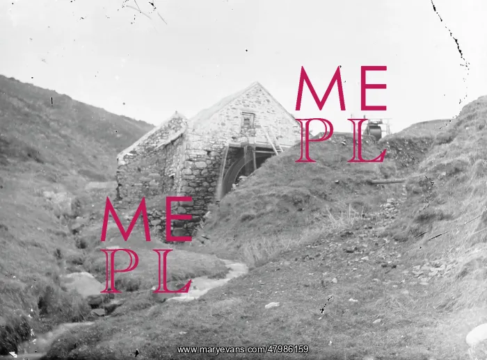 : Working water wheel and mill, Pembrokeshire, South Wales : Working water wheel and mill, Pembrokeshire, South Wales