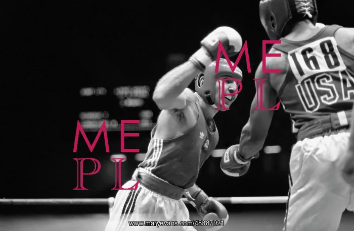 : World Boxing Championship : World Boxing Championship