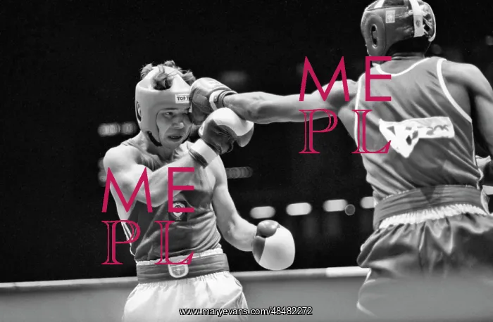 : World Boxing Championship : World Boxing Championship