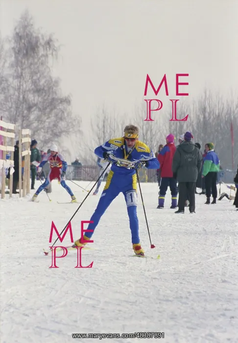 : World Cup in Ski Naigation : World Cup in Ski Naigation